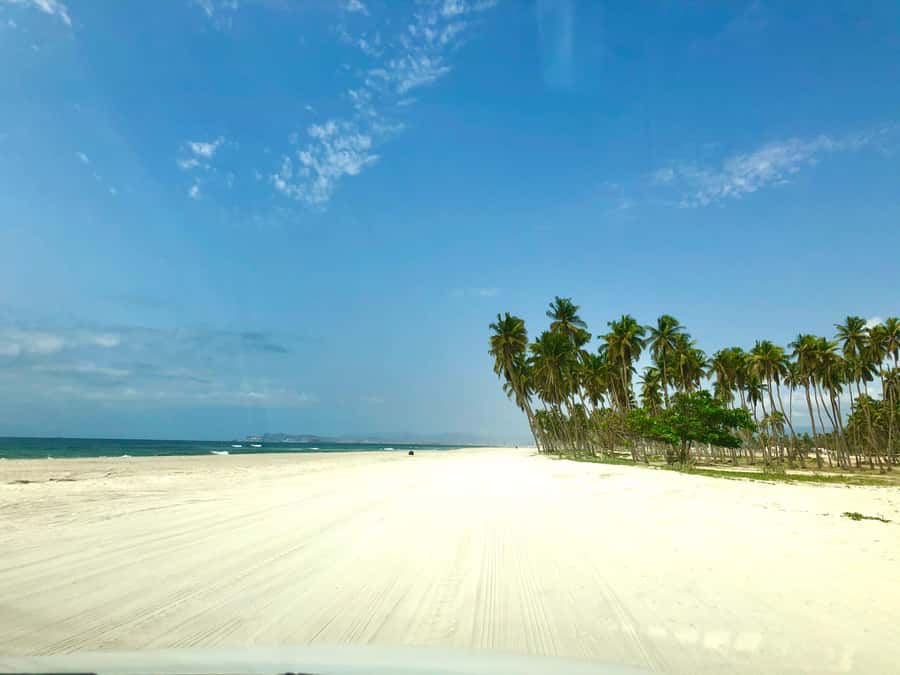 Salalah City Tour: Discover the Best of Oman’s Coastal Gem - Five things that make this Salalah tour useful