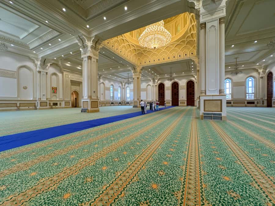 Salalah City Tour: Discover the Best of Oman’s Coastal Gem - Who should book this Salalah city tour?
