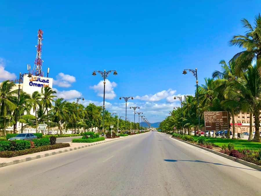 Salalah City Tour: Discover the Best of Oman’s Coastal Gem - Al Hosn Palace gates: a quick royal photo stop