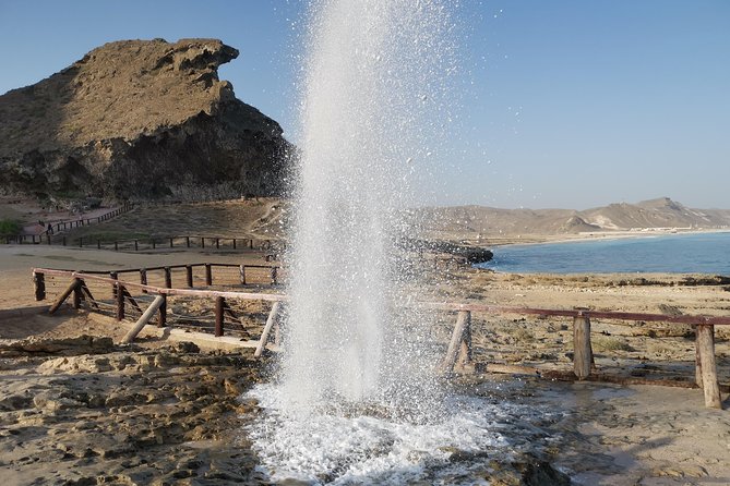 Salalah City Tour + West Coast Combo (Mughsail beach, blowholes) - The five things to know before booking