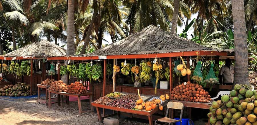 Salalah City Tours - Starting at the Sultan Qaboos Mosque