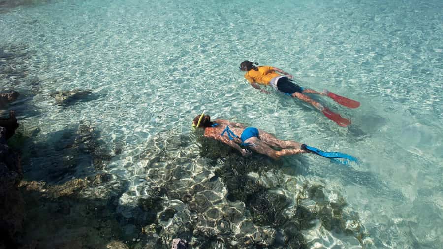 Salalah: Discover Mirbat's Snorkeling Paradise Guided Tour - Equipment, Boats, and Comfort