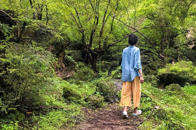 Salalah East Tour (Full Day Tour) - Samharam and the old frankincense route