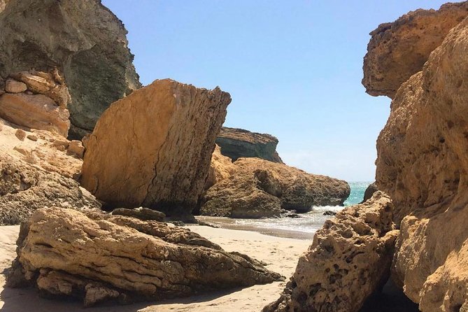 Salalah East Tour (Full Day Tour) - Guide quality and the private 4WD setup