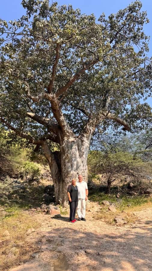 Salalah East Tour: Taqah , Darbat waterfall,camel's baobab - Who should book this mountain safari?