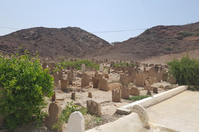 Salalah East & West Combination(Salalah tours):Oman Shore excursions - Sumhuram explains why frankincense mattered
