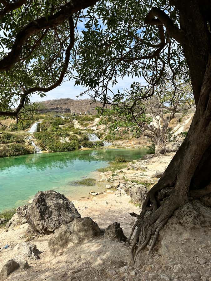 Salalah: Half-Day Guided Tour to Wadi Darbat & Mount Samhan - Key points to know before you go