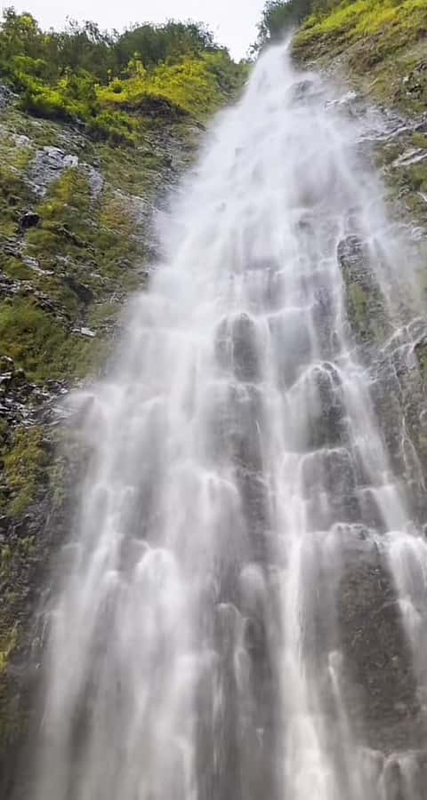 Salalah: Half-Day Guided Tour to Wadi Darbat & Mount Samhan - Wadi Darbat: waterfalls, animals, and seasonal change