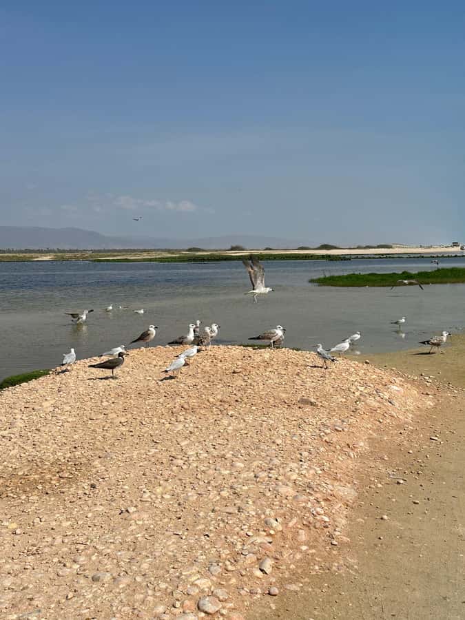 Salalah: Half-Day Guided Tour to Wadi Darbat & Mount Samhan - Mount Samhan and the Jabal Samhan views