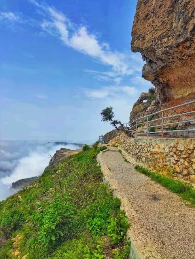 Salalah: Half-Day Guided Tour to Wadi Darbat & Mount Samhan - Practical advice for a smoother half-day