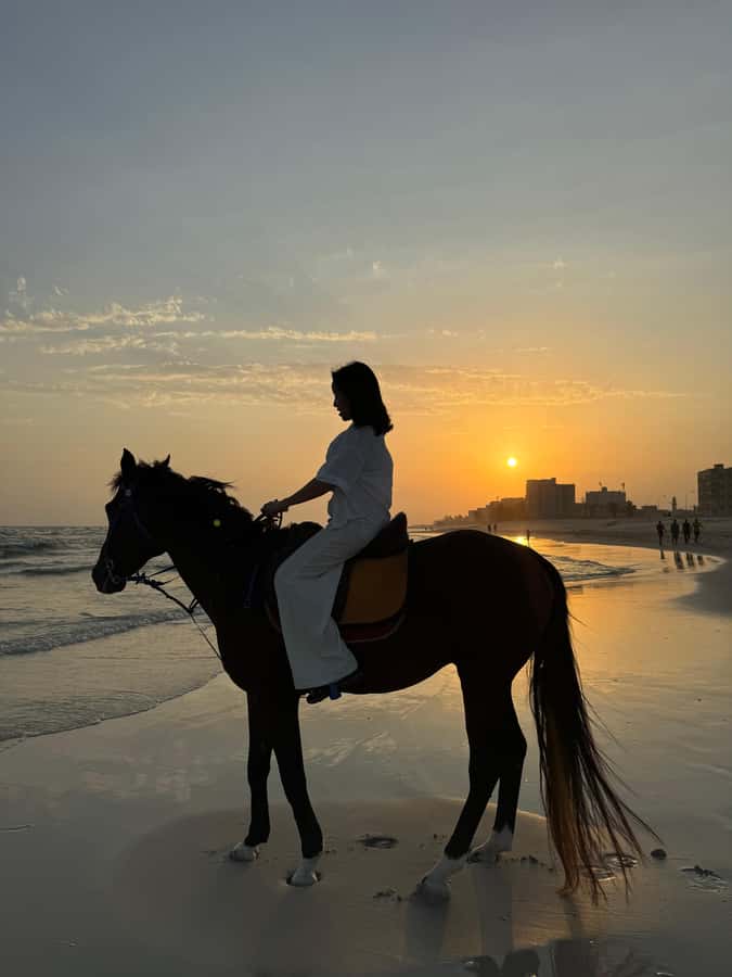 Salalah: Horse Riding by the Beach - Key points to know before you book
