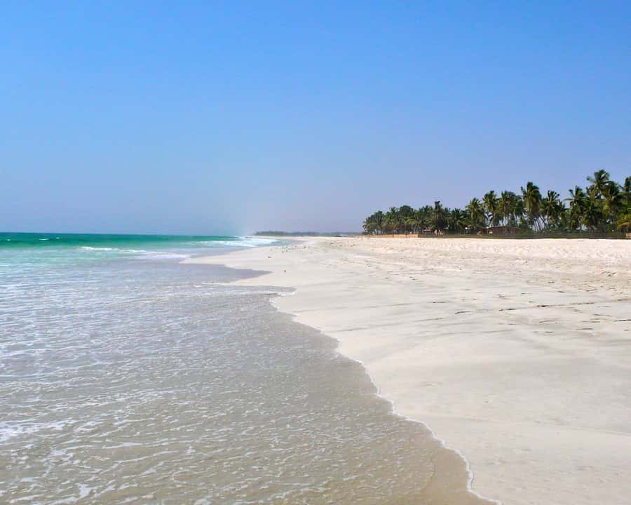 Salalah: Horse Riding by the Beach - Riding beside the Arabian Sea at sunset