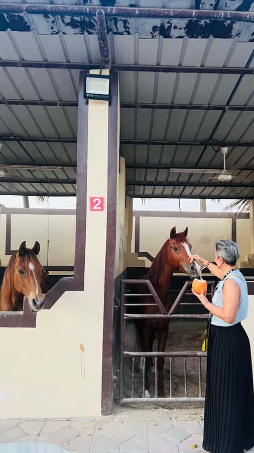 Salalah: Horse Riding by the Beach - What the one-hour ride feels like