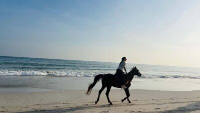 Horse Riding by the Beach