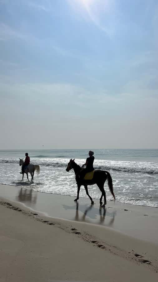 Salalah: Horse Riding by the Beach - The guide and the feel of the service