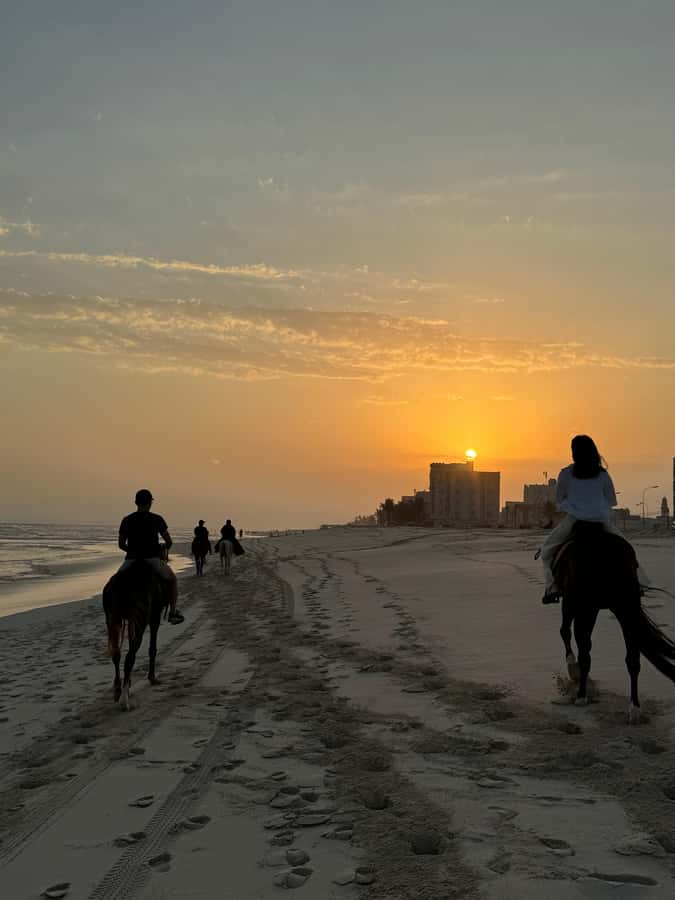 Salalah: Horse Riding by the Beach - Who should book this Salalah horse ride?