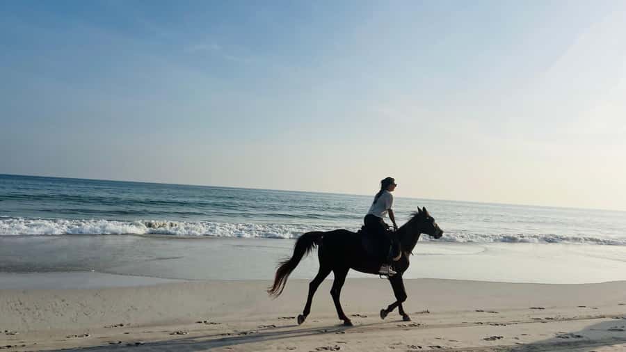 Salalah: Horse Riding by the Beach - From Salalah pickup to the first few minutes in the saddle