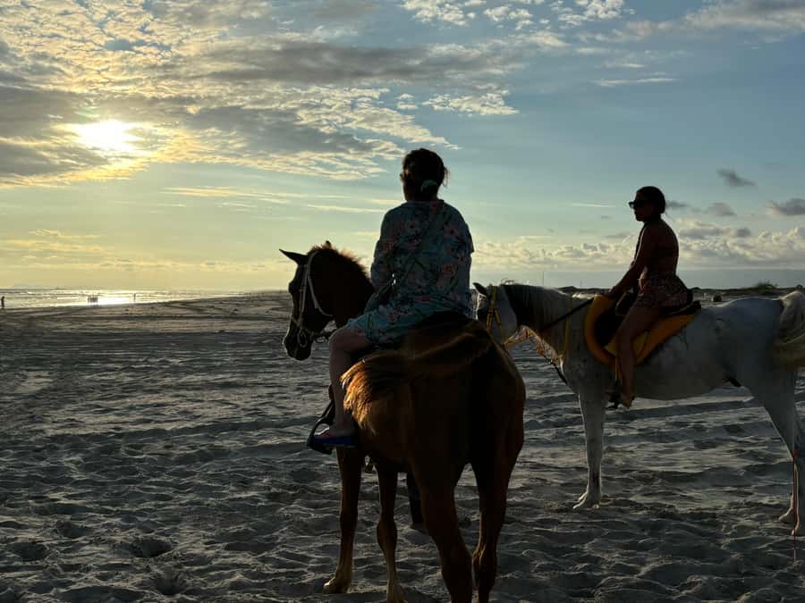 Salalah Horse Riding on the Beach optional Hotel Pick & Drop - Key points to know before you ride