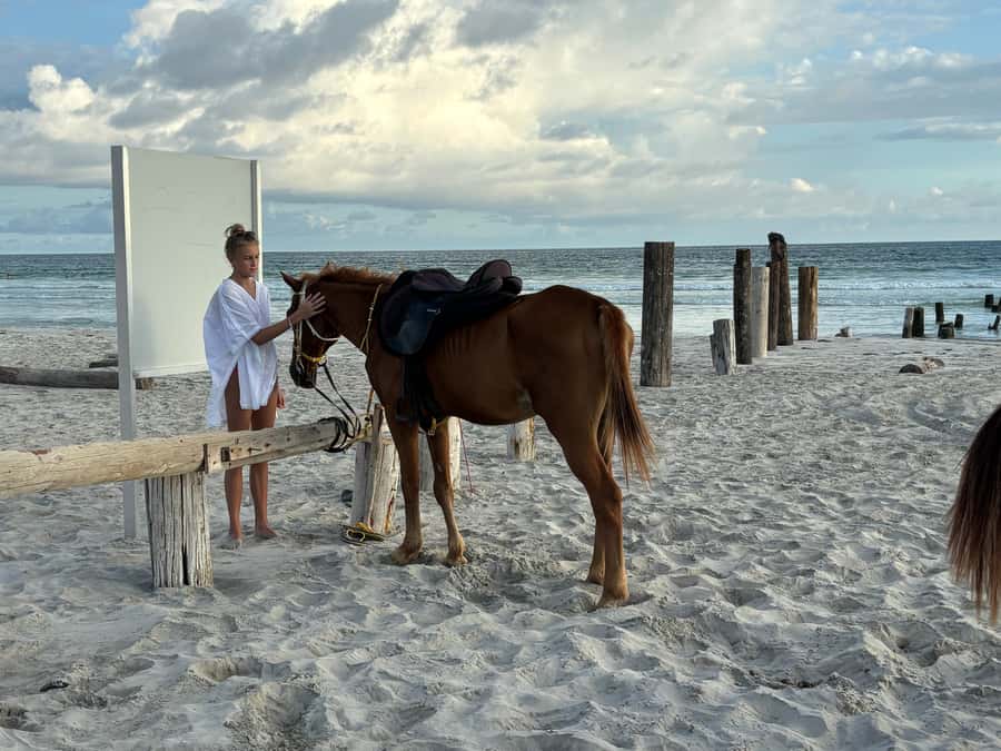 Salalah Horse Riding on the Beach optional Hotel Pick & Drop - The 30-minute beach ride
