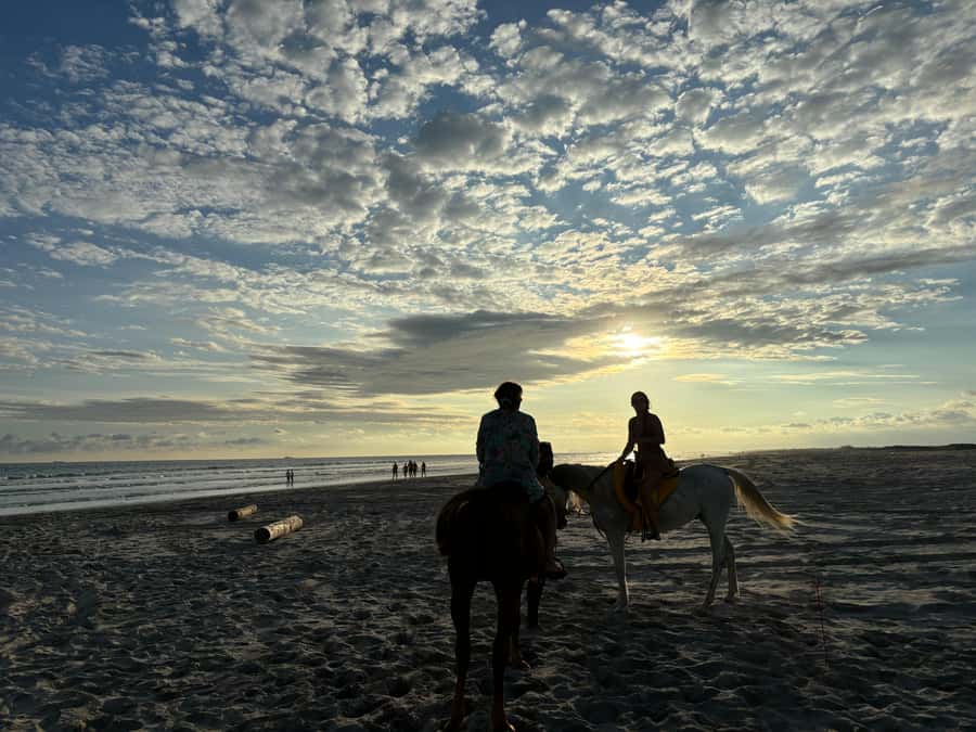 Salalah Horse Riding on the Beach optional Hotel Pick & Drop - The one-hour ride and sunset timing
