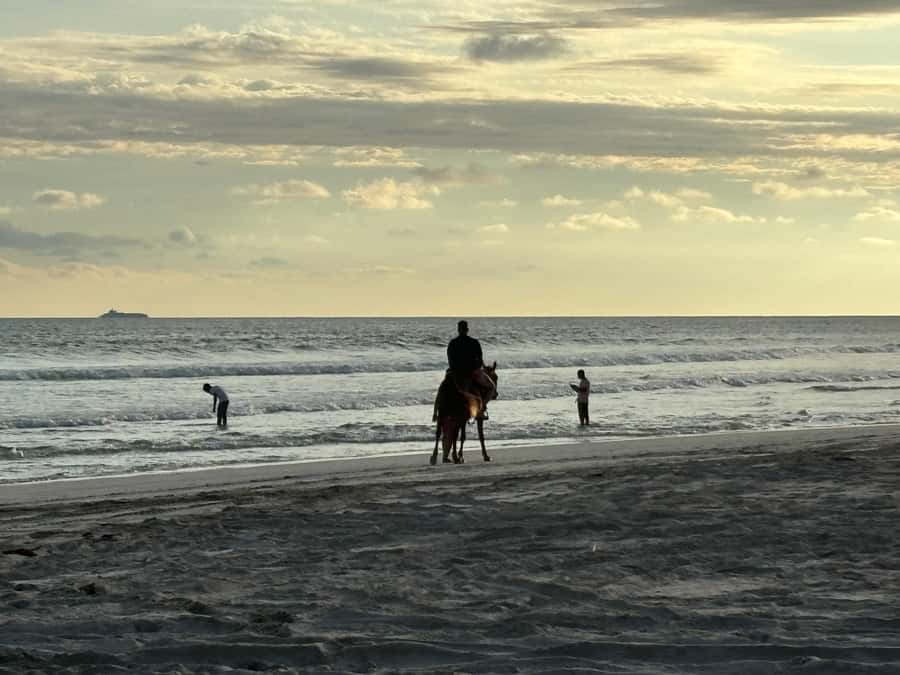 Salalah Horse Riding on the Beach optional Hotel Pick & Drop - Why the beach setting matters