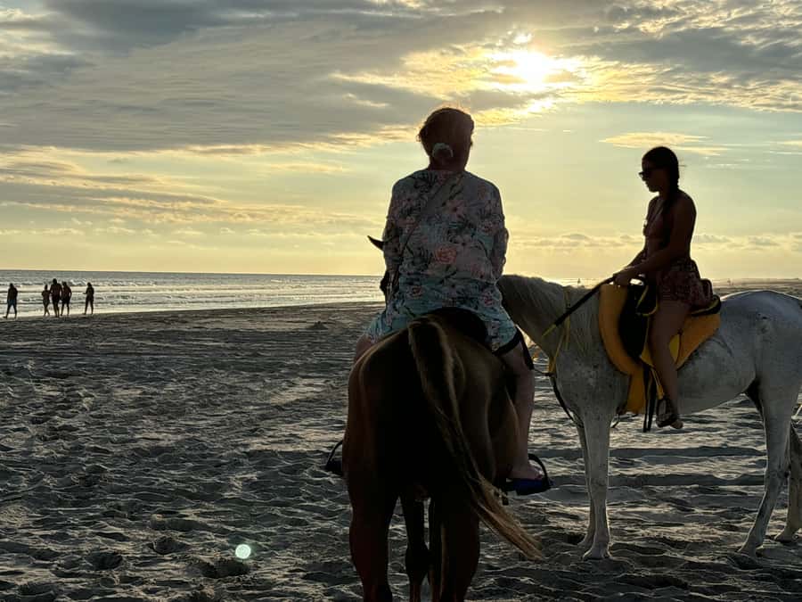 Salalah Horse Riding on the Beach optional Hotel Pick & Drop - Guides, horses, and the quality of the ride