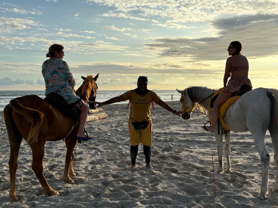 Salalah Horse Riding on the Beach optional Hotel Pick & Drop - Getting comfortable with your horse