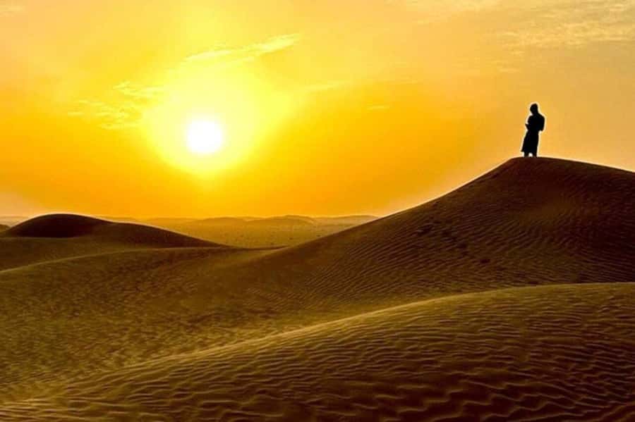 Salalah: Sunset desert safari tour in salalah(private tour) - Guides, language, and the human side