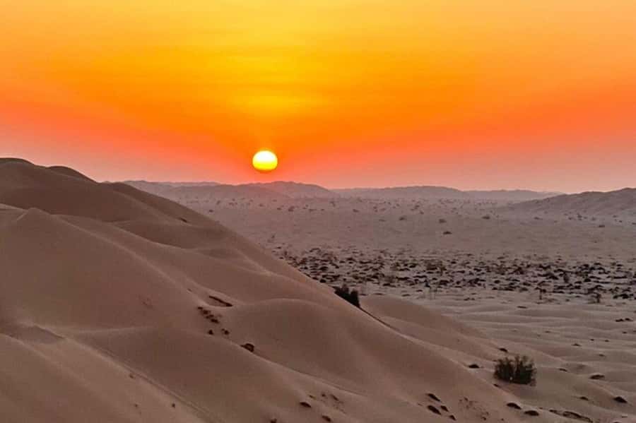 Salalah: Sunset desert safari tour in salalah(private tour) - Who should book this tour?