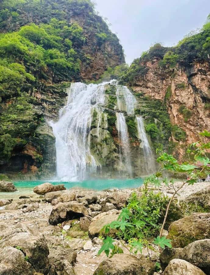 Salalah: Wadi Darbat, ,Teeq Cave - Baobou Trees Tour - Why this eastern Salalah route works