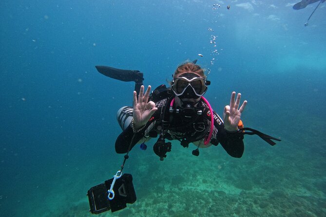 Scuba Diving Adventure in Musandam, Oman - Why Musandam makes a fine underwater escape