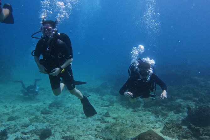 Scuba Diving Adventure in Musandam, Oman - Equipment, safety, and the right level of experience