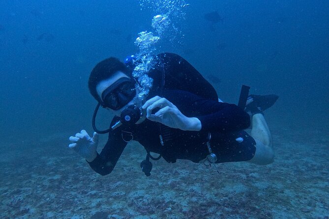Scuba Diving Adventure in Musandam, Oman - Is $153.52 a fair price?