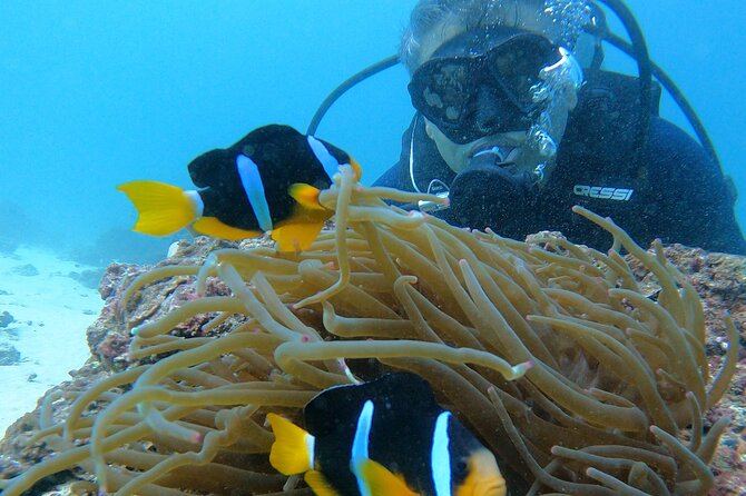 Scuba Diving in muscat - Key points to know before you book
