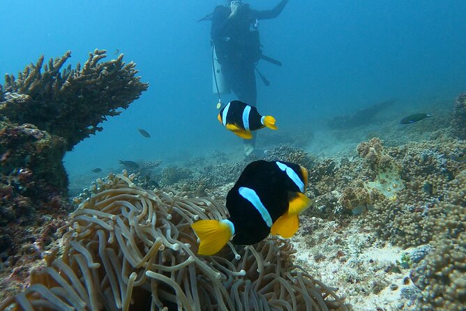Scuba Diving in muscat - Gear fitting that can make or break the morning