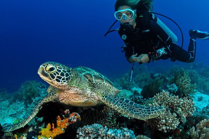 Scuba Diving to Dimaniyat Islands Muscat Oman - Five details worth knowing before you book