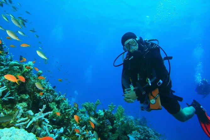Scuba Diving to Dimaniyat Islands Muscat Oman - Twelve underwater sites, from coral gardens to reef walls