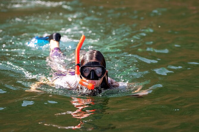 Sea Wonders Dolphin Watching and Snorkeling in Muscat - Key Points Before You Book