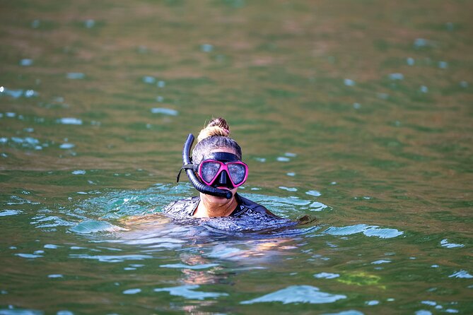 Sea Wonders Dolphin Watching and Snorkeling in Muscat - Why the Dolphin Search Is the Main Event