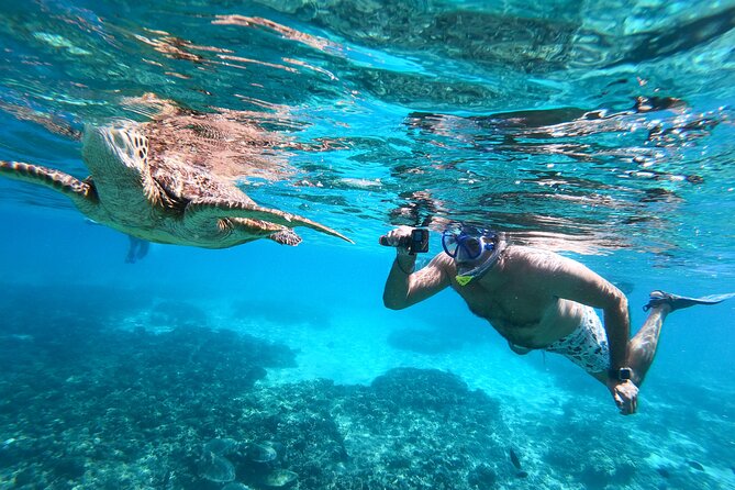 Snorkeling Adventure to Daymaniat Islands - Leaving Muscat at 7:55 in the morning