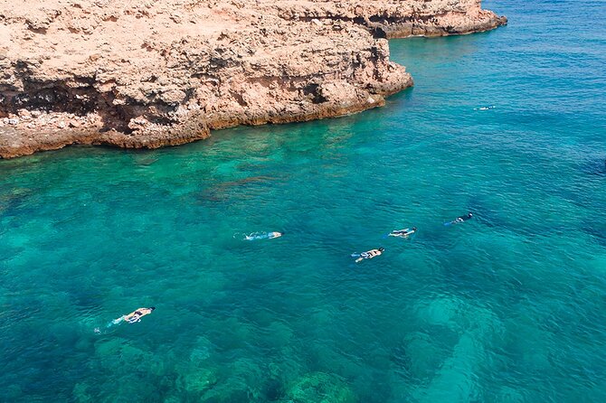 Snorkeling Adventure to Daymaniat Islands - What the two snorkeling stops are like