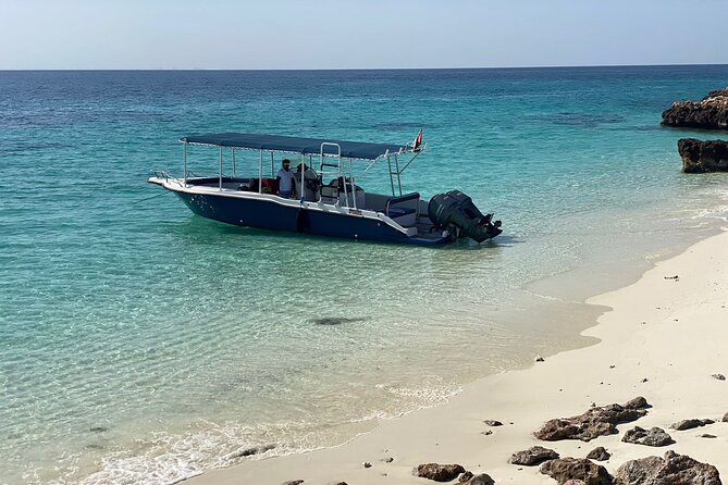 Snorkeling Adventure to Daymaniat Islands - The seasonal beach stop from November through April