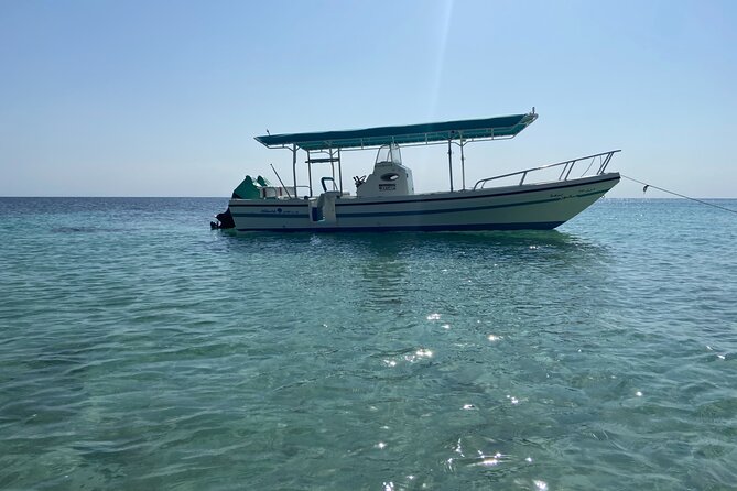Snorkeling at Dimaniyat Islands and Dolphin Watching - The chance to swim near a whale shark