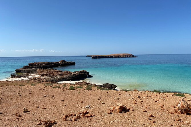 Snorkeling at Dimaniyat Islands and Dolphin Watching - Crew service can shape the whole day