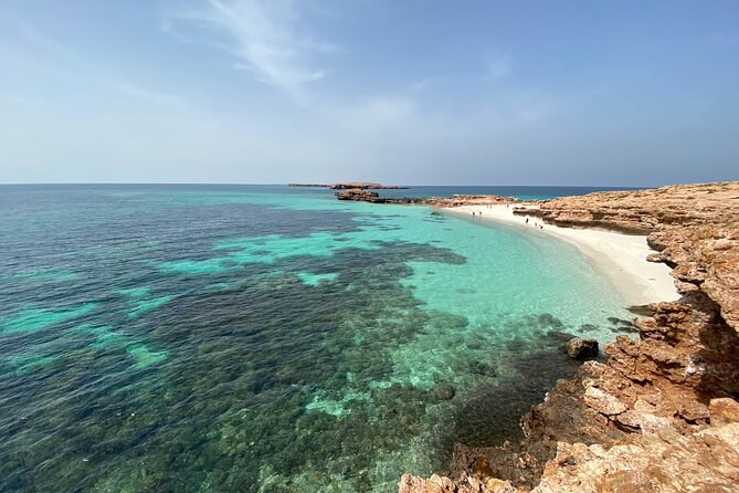 Snorkeling at Dimaniyat Islands and Dolphin Watching - Is $87 a fair price?