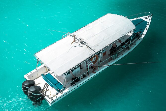 Snorkeling Experience at Ad Daymaniyat Islands in Muscat - Key points at a glance