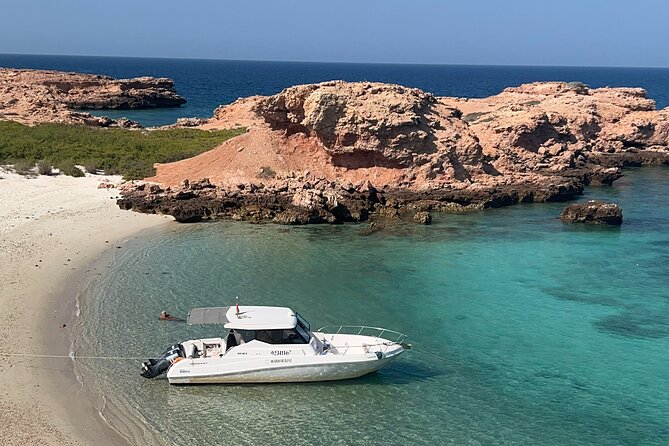 Snorkeling in Daymaniat Island - Reaching Daymaniat Island’s Snorkeling Sites