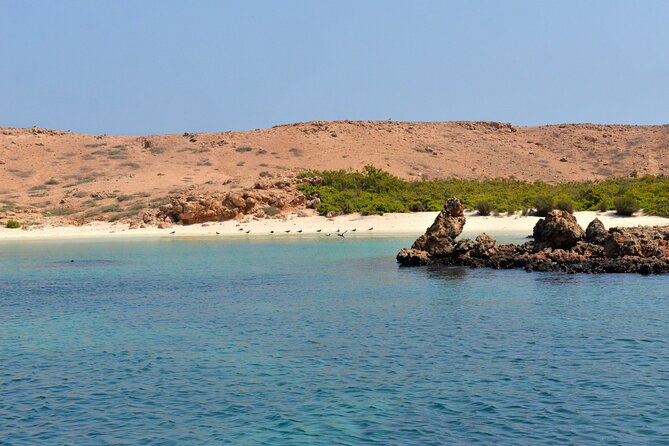 Snorkeling trips to Daymaniat Islands Sharing Trip - Key things to know before you book