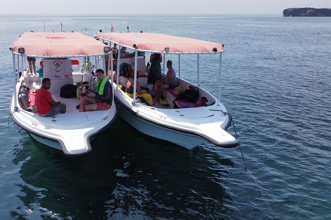 Snorkeling trips to Daymaniat Islands Sharing Trip - Nine rocky islets and a protected marine reserve