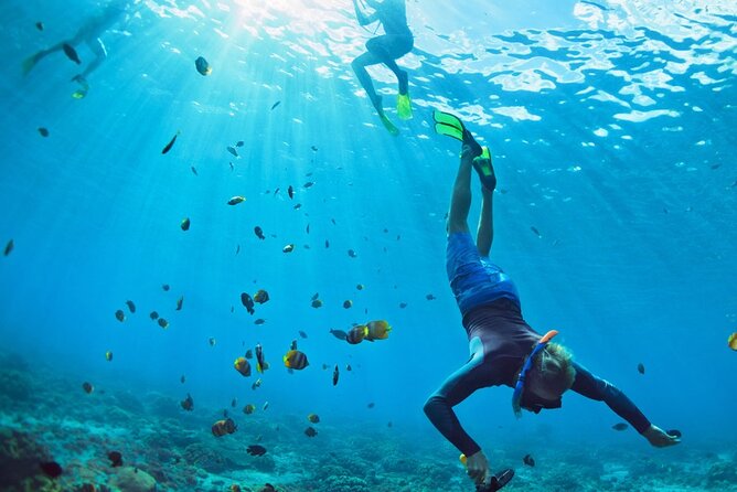 Snorkeling trips to Daymaniat Islands Sharing Trip - Help for first-time snorkelers